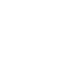 SkillBridge